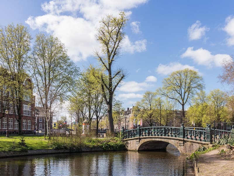 Hortus Botanicus — a hidden gem in Amsterdam, Amsterdam