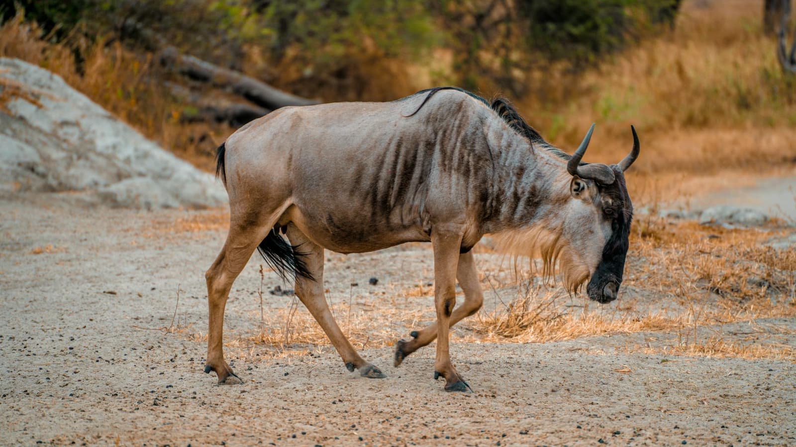 Hidden gems in Arusha