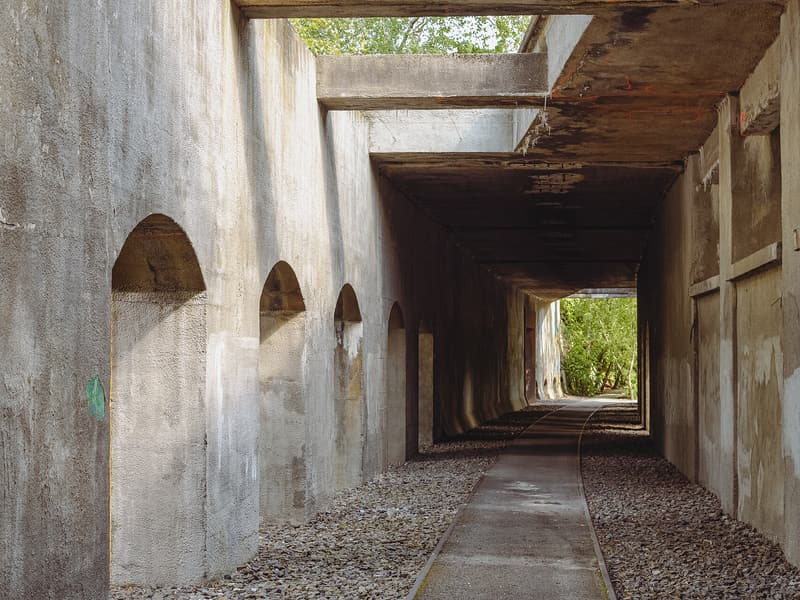 Natur-Park Schöneberger Südgelände — a hidden gem in Berlin, Berlin