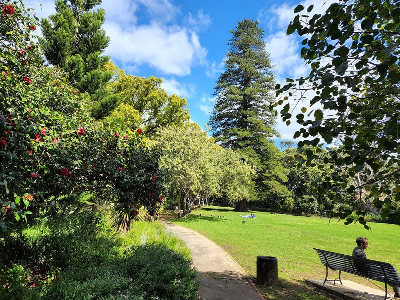 The Arderne Gardens — a hidden gem in Cape Town, Western Cape