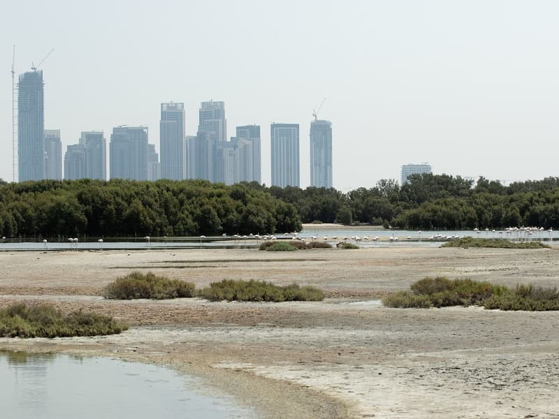Ras Al Khor Flamingo Hide — a hidden gem in Dubai, Dubai