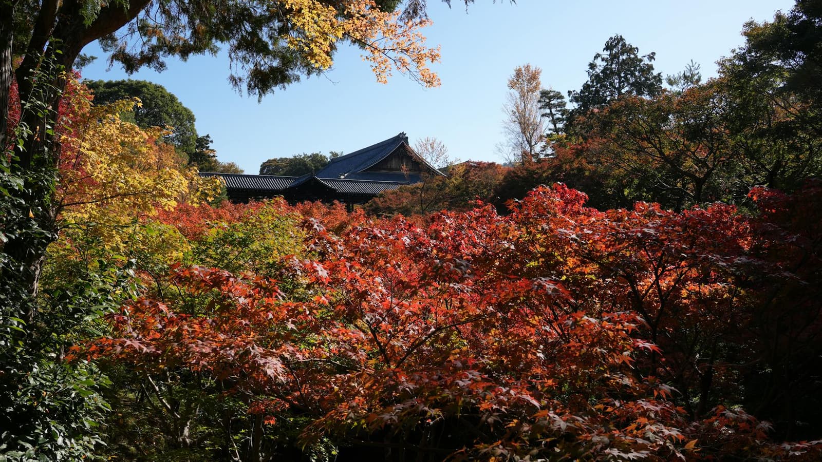 Hidden gems in Kyoto
