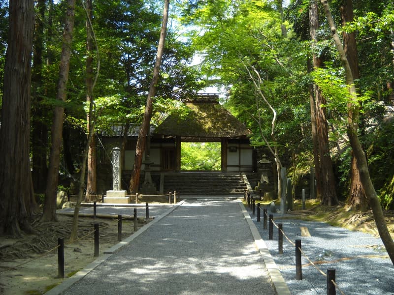 Honen-in — a hidden gem in Kyoto, Kyoto