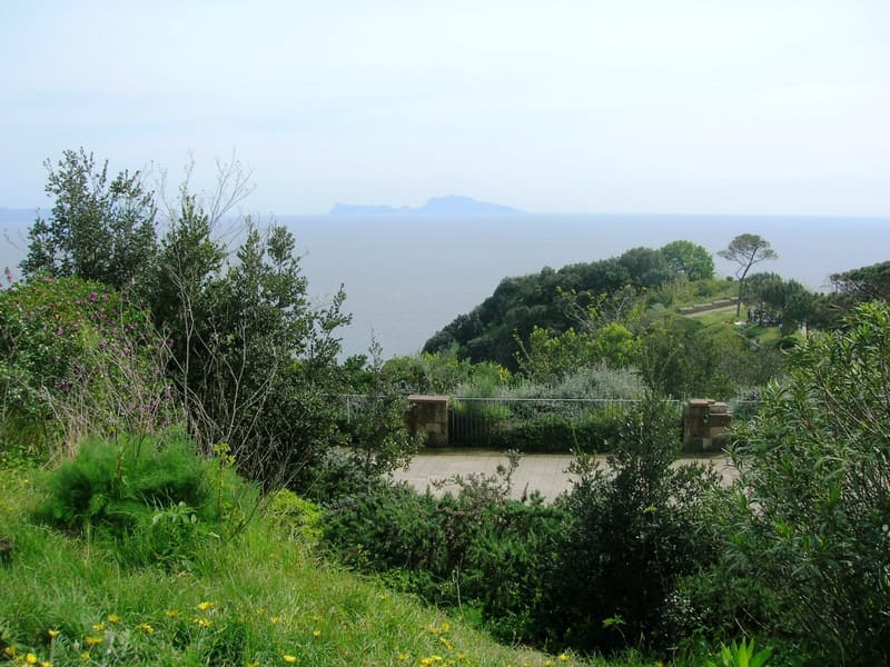 Parco Virgiliano (Posillipo) — a hidden gem in Naples, Naples