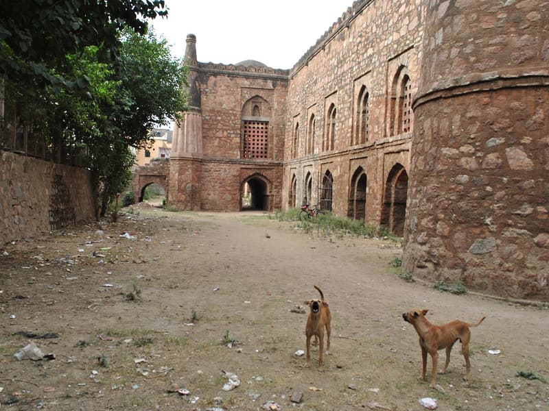 Khirki Masjid — a hidden gem in New Delhi, New Delhi