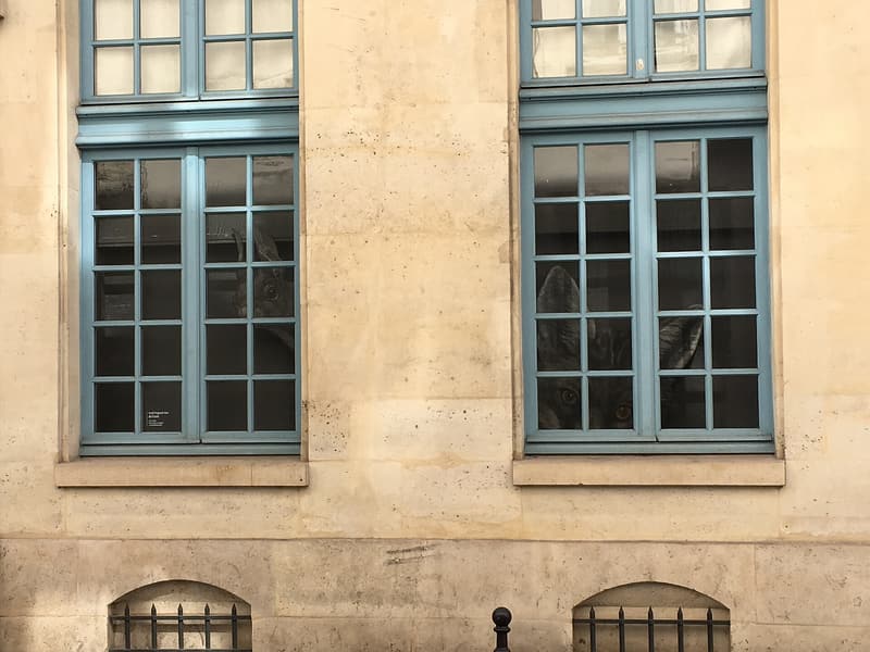 Musée de la Chasse et de la Nature, Paris