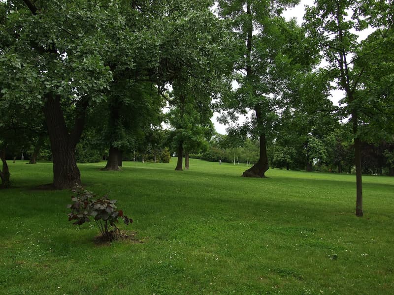 Riegrovy sady — a hidden gem in Prague, Prague