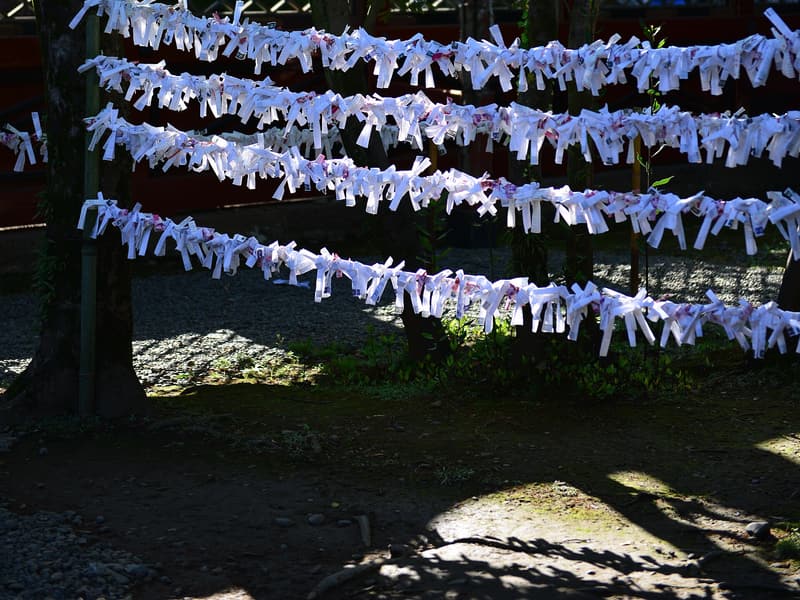 Nezu Shrine, Tokyo