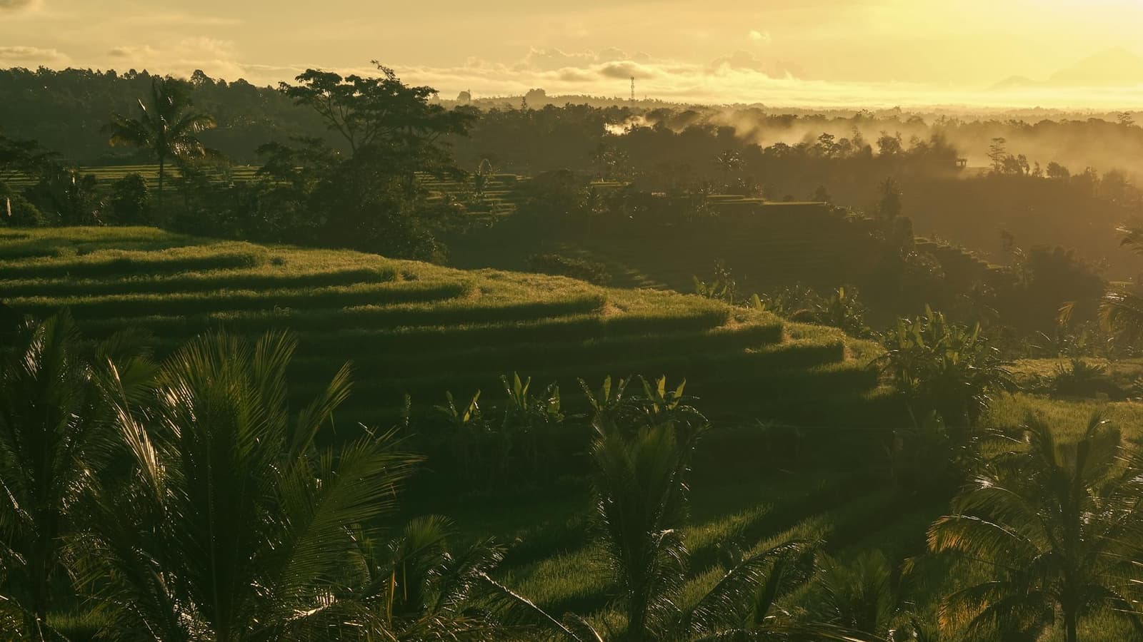 Hidden gems in Ubud
