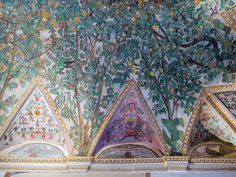 Palazzo Grimani di Santa Maria Formosa — a hidden gem in Venice, Venice